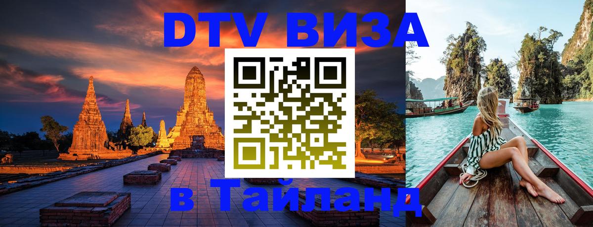 Сколько стоит DTV виза — актуальные цены, оформление даже без документов - Новый Уренгой 